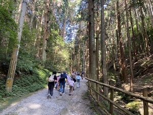 IMG_7044.jpeg